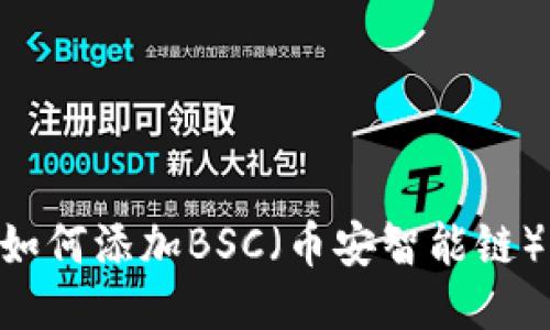 电脑TPWallet如何添加BSC（币安智能链）？详细步骤指南