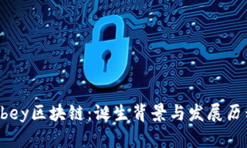 Abey区块链：诞生背景与发展历程