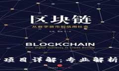 区块链审计项目详解：专业解析与发展前景